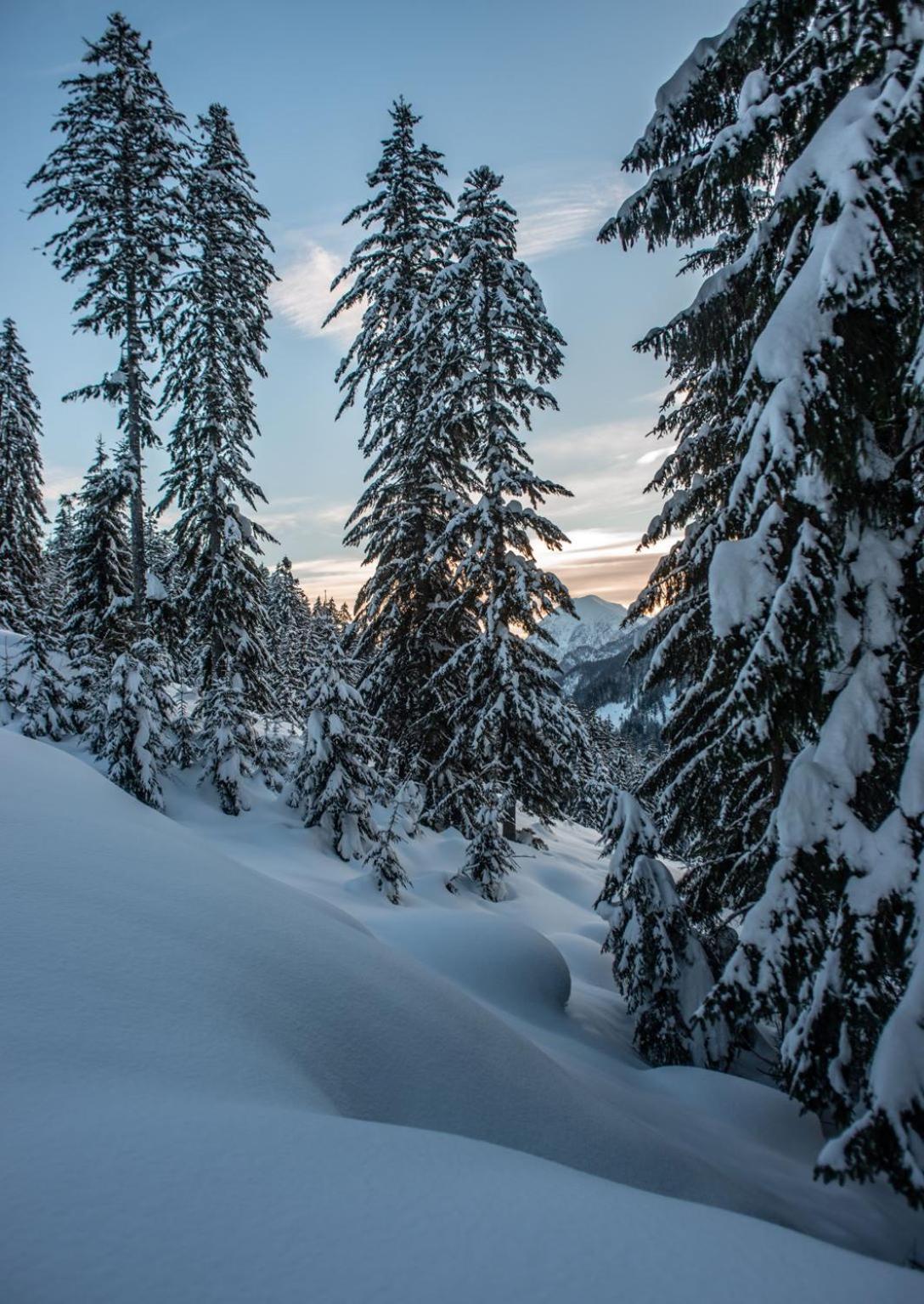 Naturparkresort Xeisblick Palfau Exteriér fotografie